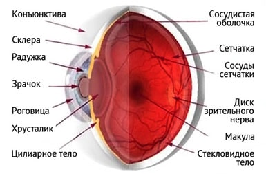 Лечение глазного нерва